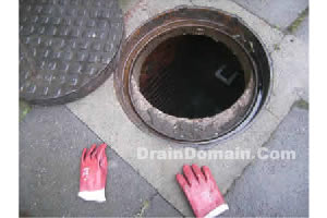 drain experts